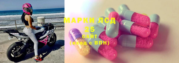 эйфоретик Пересвет
