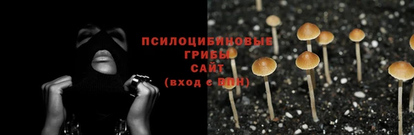 трава Алексин