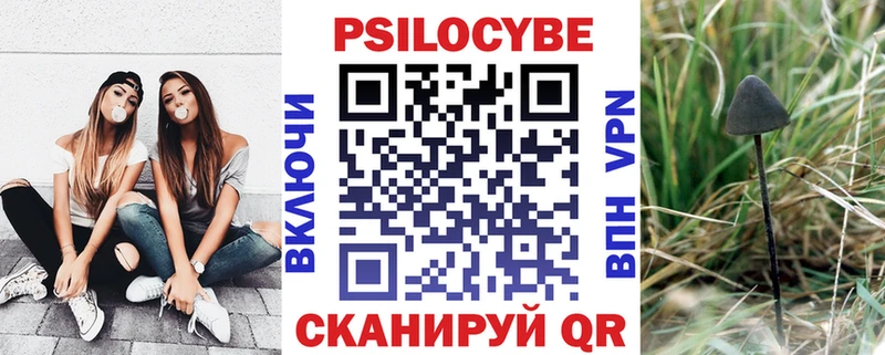 купить наркоту  Черноголовка  Галлюциногенные грибы Psilocybe 